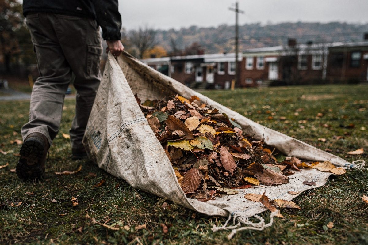 Tarp half full of fallen leaves being dragged across a lawn